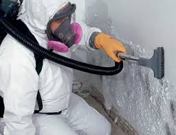 Why You Should Choose Our Mold Remediation Services in Houserville, PA